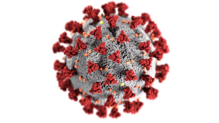 Coronavirus image created at the CDC